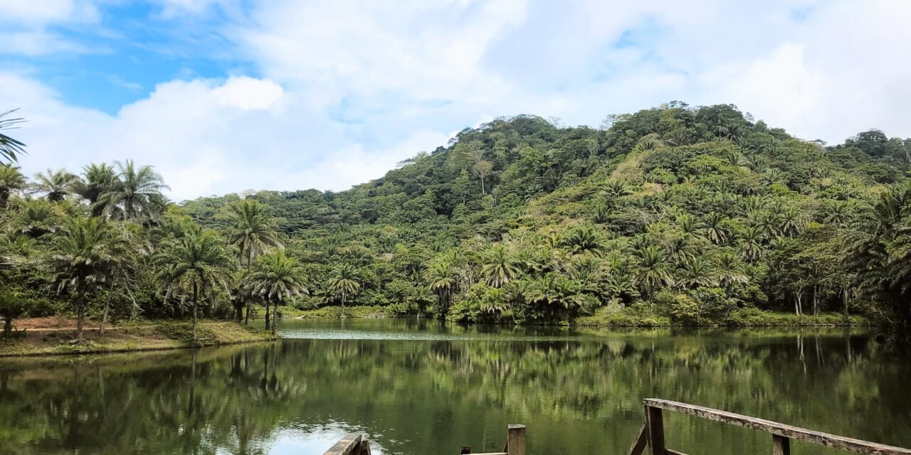 DAY TRIP TO MAGOROTO FOREST