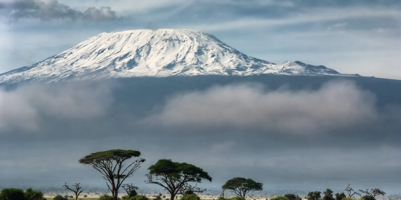 DAY TRIP TO WESTERN KILIMANJARO