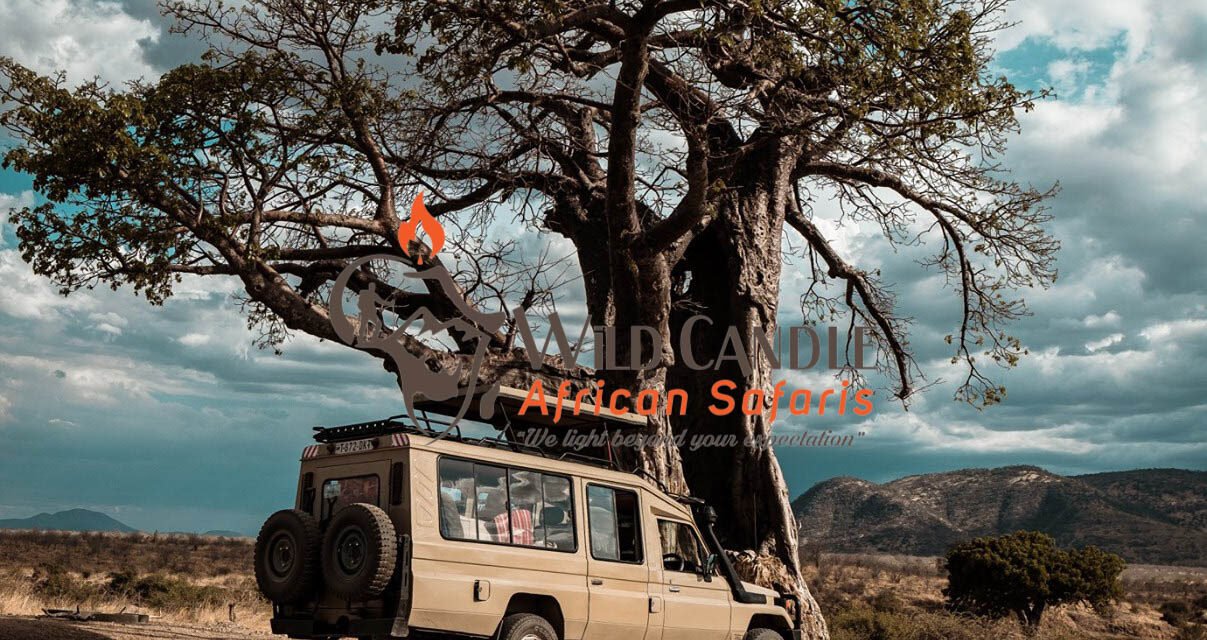 8-DAY COMFORT NORTH SERENGETI MIGRATION SAFARI + CULTURAL EXPERIENCE (Tarangire, Lake Natron, Ngorongoro crater & Serengeti)