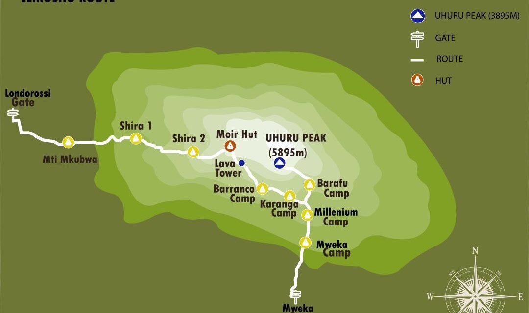 9 DAYS 8 NIGHTS KILIMANJARO TREKKING LEMOSHO ROUTE