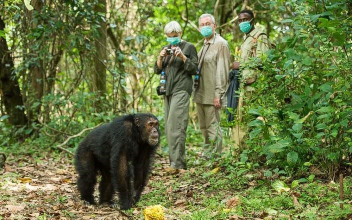 5-DAYS VISIT CHIMPANZEE BUDGET TANZANIA TOUR (Dar-Kigoma, Kigoma-Mahale,Mahale-Kigoma, Kigoma Gombe, Gombe-Kigoma, Kigoma-Dar)