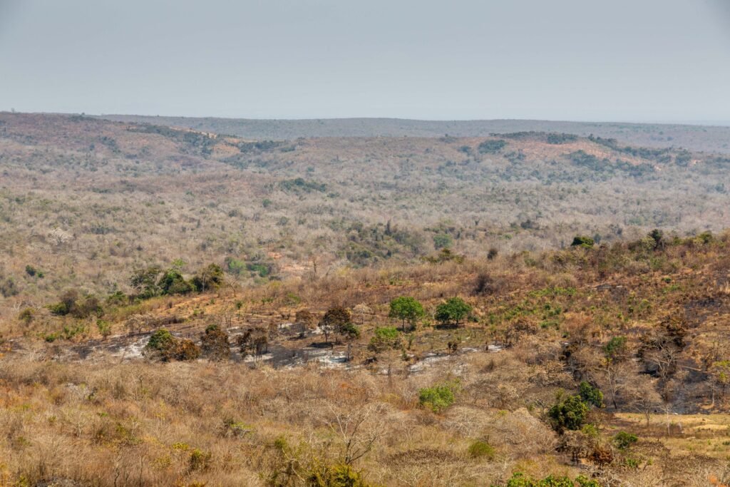 Selous (003)