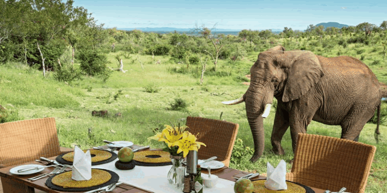 4-Days Luxury Tanzania Safari