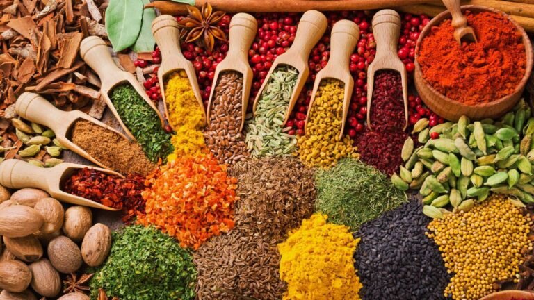 4-Day Zanzibar Culture & Spice Tour