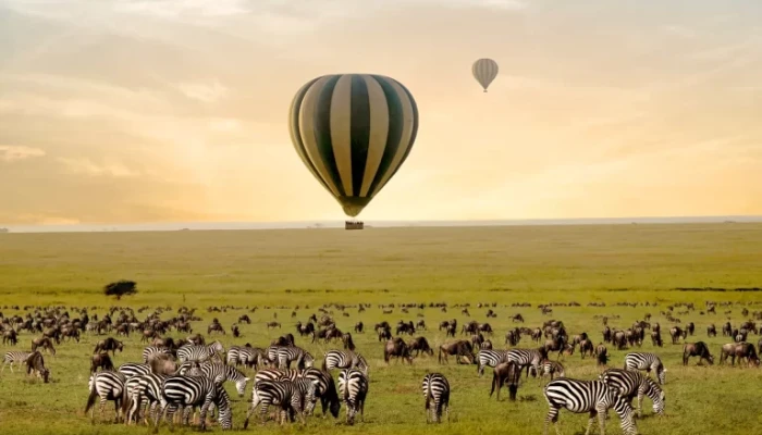 5 DAYS FLY-IN & FLY-OUT LUXURY SERENGETI SAFARI