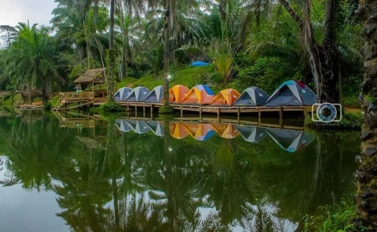 DAY TRIP TO MAGOROTO FOREST