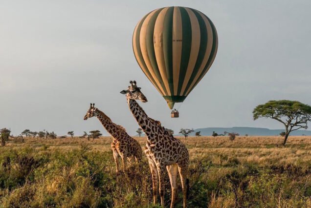4 DAYS FLY-IN & FLY-OUT SERENGETI SAFARI